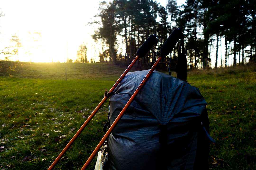 Black Diamond Distance Carbon Z 登山杖