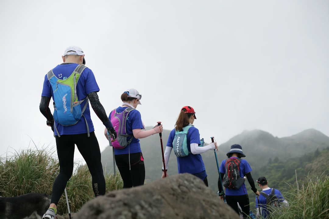 Black Diamond Trail Ergo Cork 登山杖