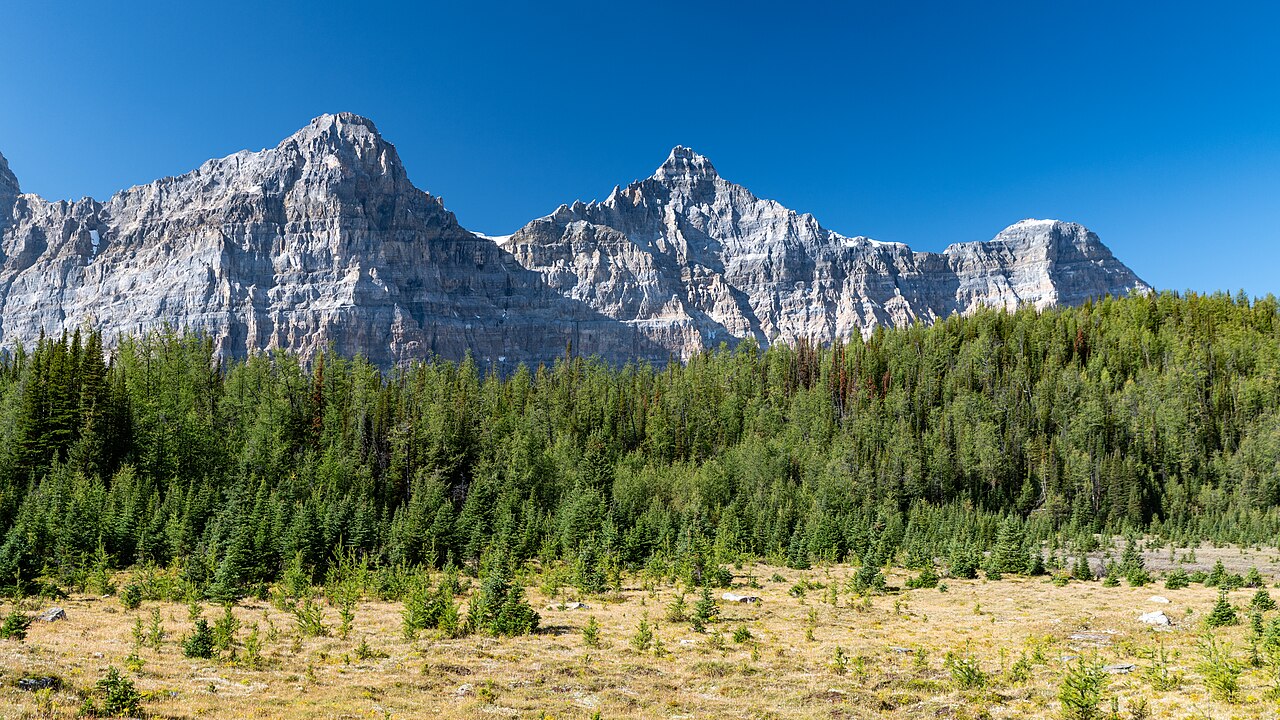 Larch Valley 的金黄落叶松