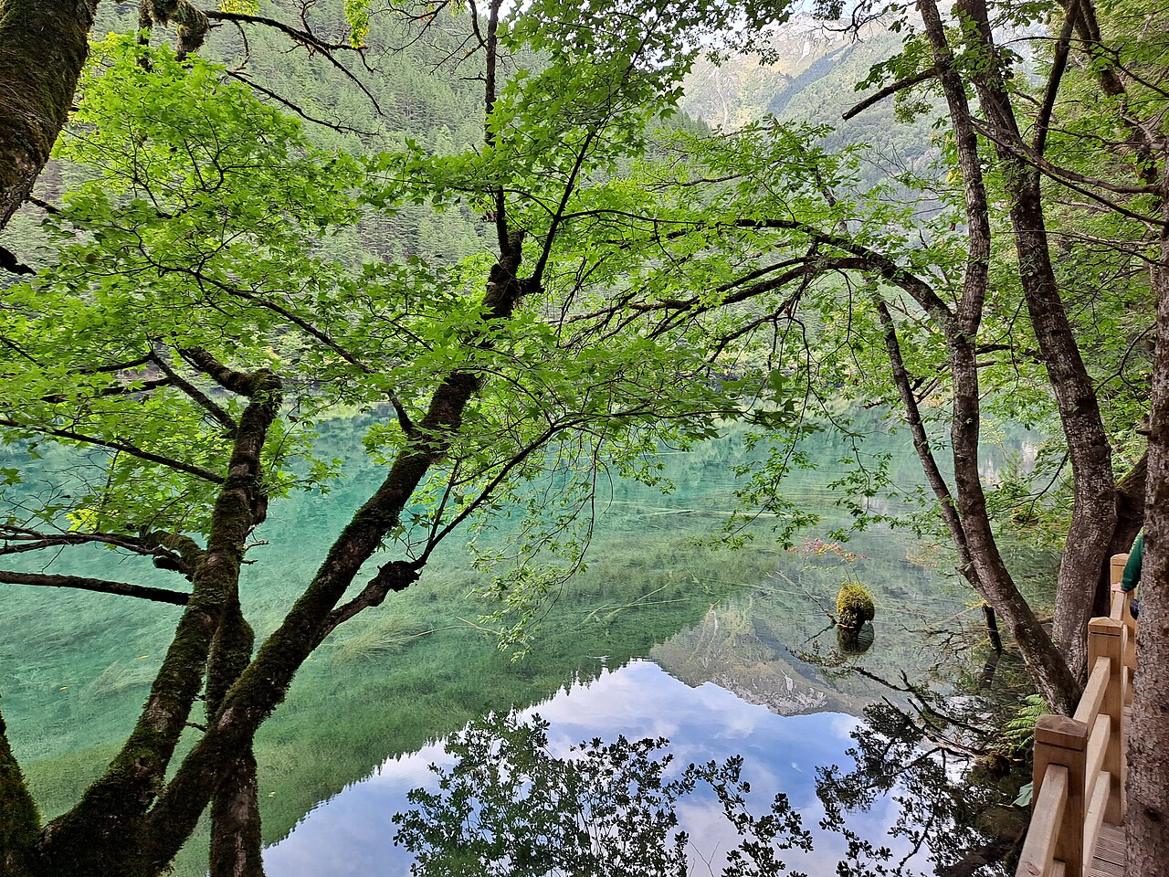 倒映山峦和森林的镜海