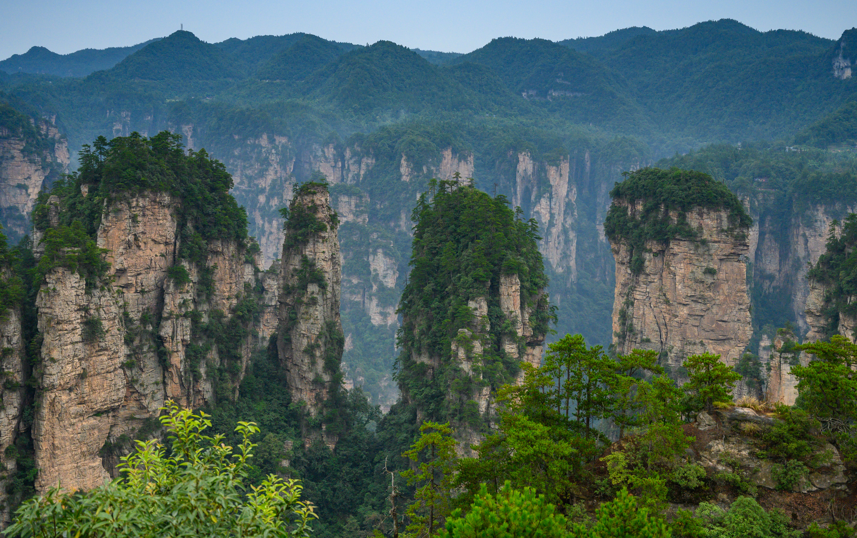 雾气中拔地而起的阿凡达式砂岩峰柱